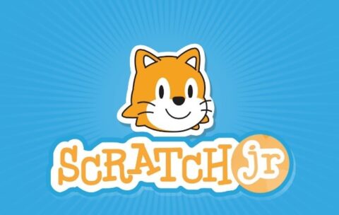 Scratch-3034322054